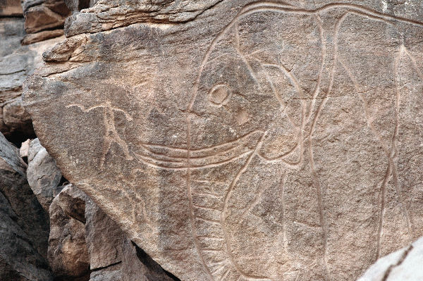 Een grote olifant en een kleine slingeraar (Wadi Mathendous; (c) Livius.org)