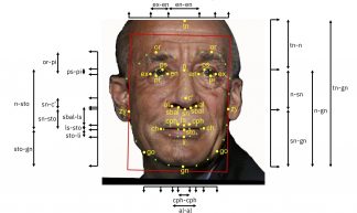 Diversity in Faces(DiF) - IBM Research