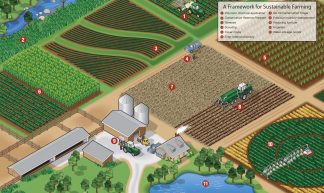 A Framework for Sustainable Farming Infographic - United Soybean Board