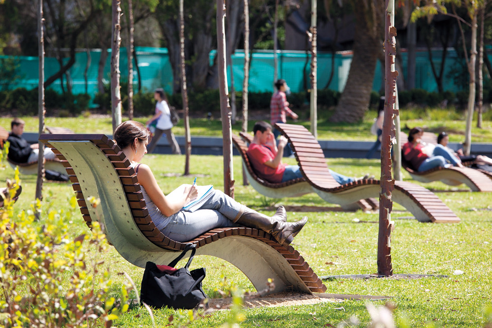 cc Flickr Sydney Uni photostream Cadigal Green on the Darlington campus, the University of Sydney
