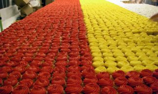 Ever Seen 50,000 Cupcakes??? - Cupcake Queen