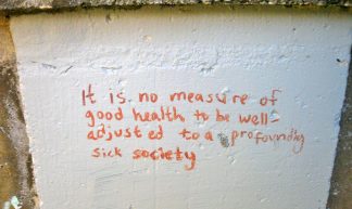 "it is no measure of good health to be well-adjusted to a profoundly sick society" - david silver
