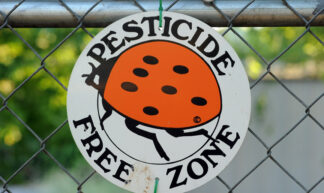 pesticide free zone - caroline_says