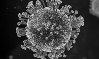 Coronavirus - Yuri Samoilov