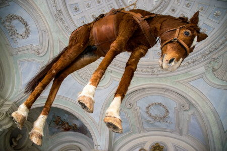 Flickr Ralf Steinberger Helplessness Novecento (1900), by Maurizio Cattelan (1997) CC BY 2.0