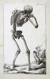 Flickr CC BY-SA 2.0 University of Liverpool Faculty of Health and Life Sciences Skeleton from French anatomical engraving