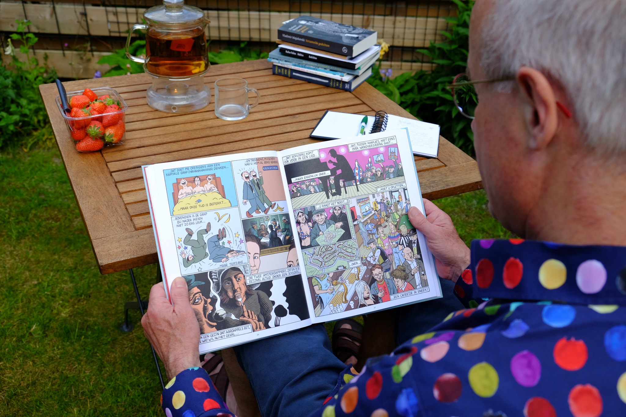 Boekrecensie La bande dessinée de DRS.