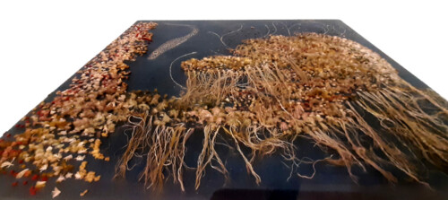 Aan t water, Zee anemoom © Christine van Zeegen (1890-1973) © foto Wilma_Lankhorst