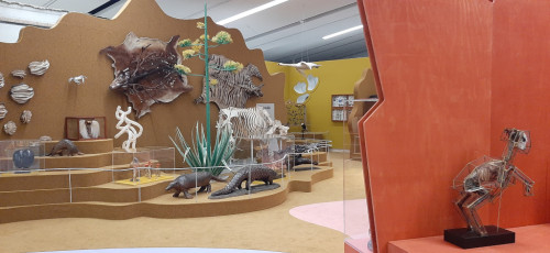 Drents_Museum Sfeerbeeld Microkosmos - Naturalia © foto Wilma_Lankhorst