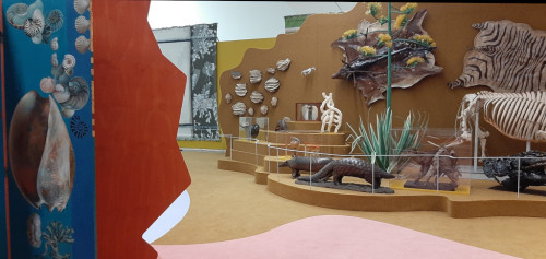 Drents_Museum Sfeerbeeld Microkosmos l. kamerscherm (detail) © Carry Mastenbroek © foto Wilma_Lankhorst