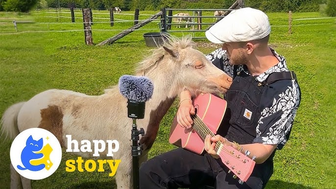 Closing Time ???? Plumes Singing for Animals